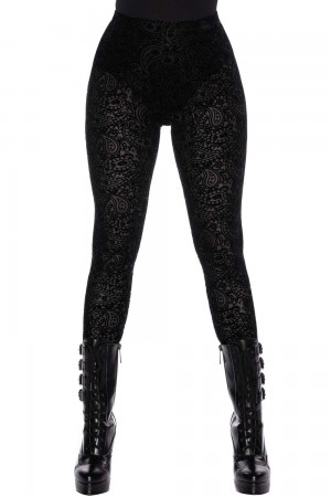 Killstar Althea's Evil Velvet Leggings Černé | IHBGOU-576