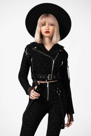 Killstar Demon Claw Cyklistické Jacket Černé | PMKALD-427