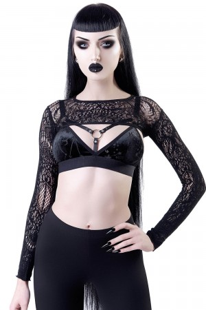 Killstar Eris Krajkové Bolero Černé | WTVRMQ-602