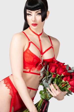 Killstar Harlow's Seduction Bra Červené | THQGIC-986