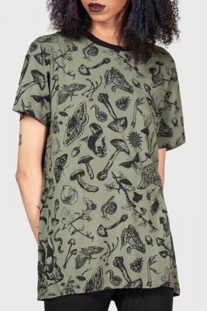 Killstar Mantodea T-Shirt Zelene | MRWJFA-728