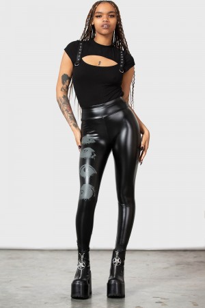 Killstar See Through You Leggings Černé | COHNSM-401