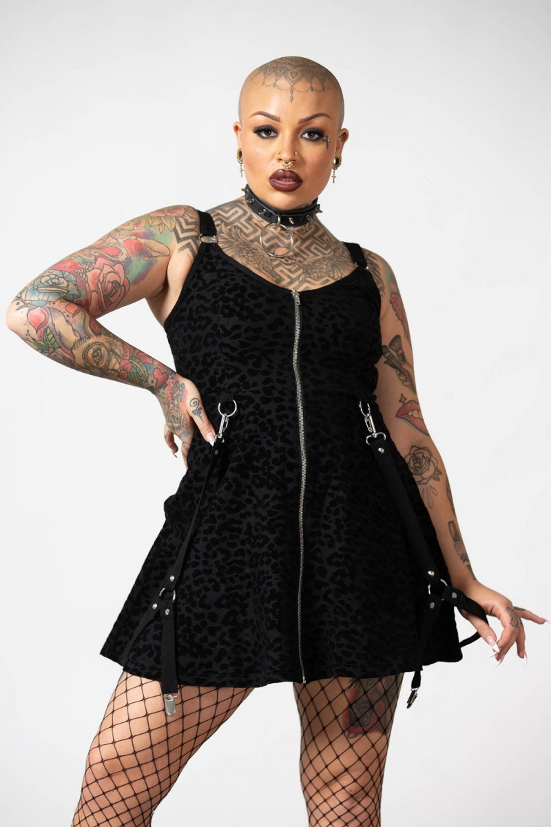 Killstar Feelin Purrty Skater Šaty Černé | OZXEUG-904