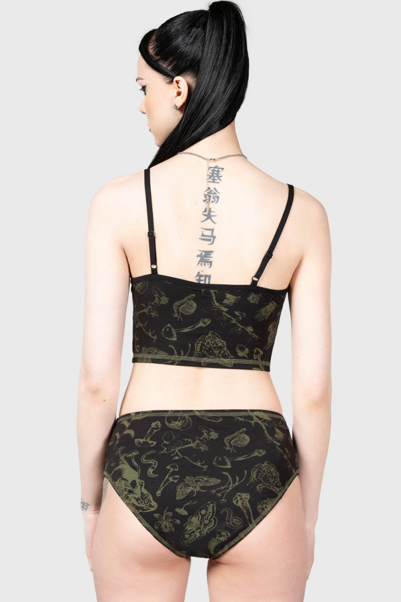 Killstar Forest Lush Panty Černé | UQWGBK-956
