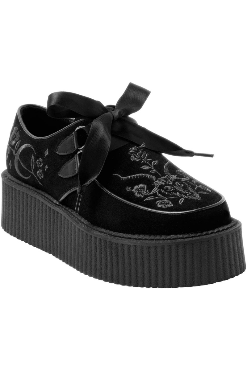 Killstar Luci-Fairy Creepers Černé | TWCQPO-645